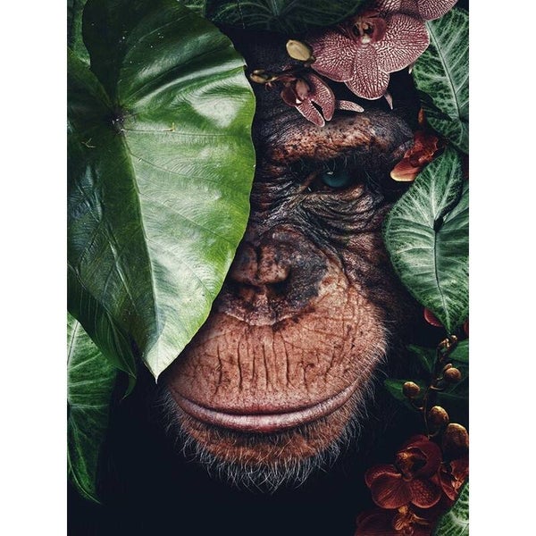 Diamond Painting Chimpansee in de Jungle
