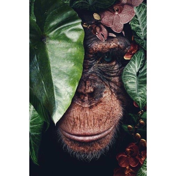 Diamond Painting Chimpansee in de Jungle