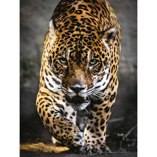 Diamond Painting Jaguar 1