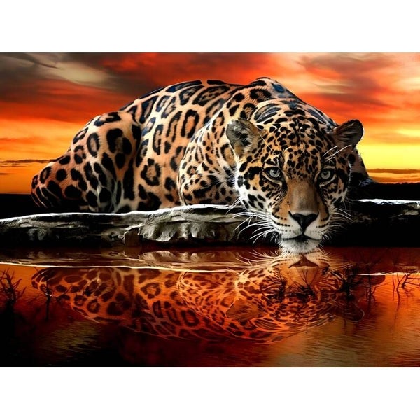 Diamond Painting Luipaard 3