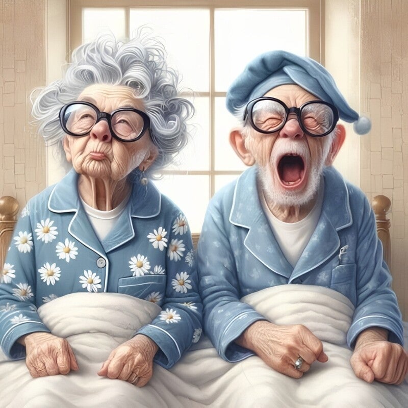 Diamond Painting Oudjes in Bed 2