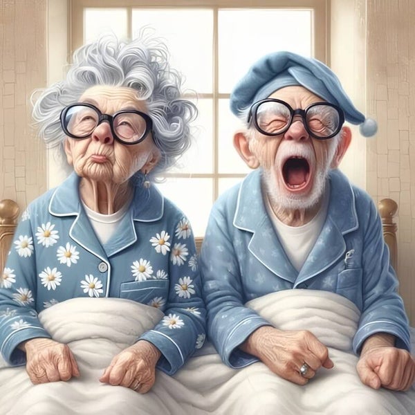 Diamond Painting Oudjes in Bed 2
