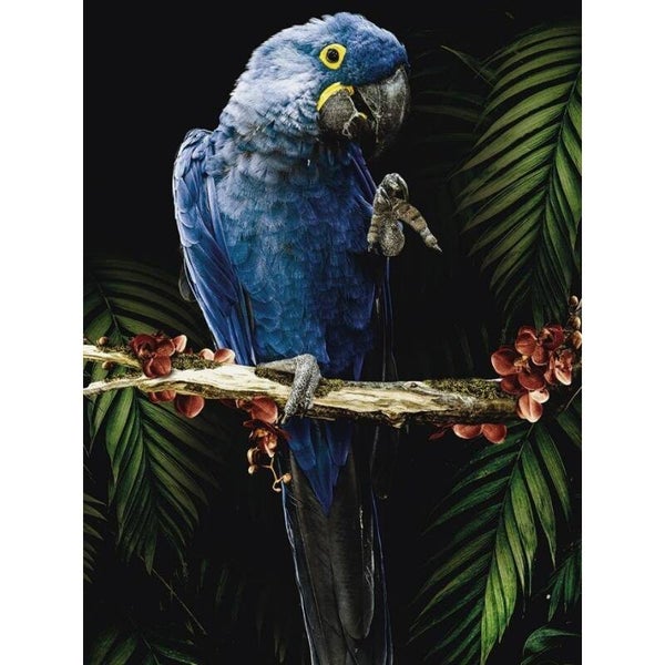 Diamond Painting Papegaai in de Jungle