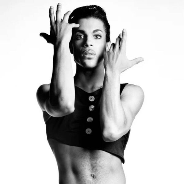 Diamond Painting Prince 7
