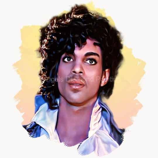 Diamond Painting Portret Prince 2