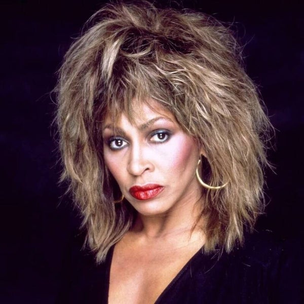 Diamond Painting Tina Turner 1