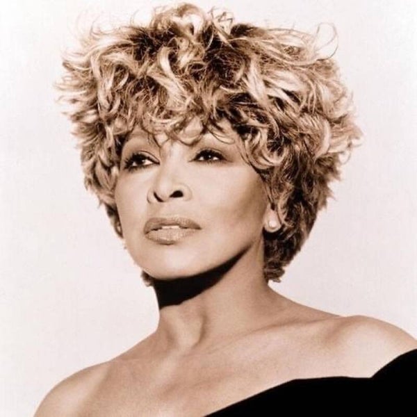 Diamond Painting Tina Turner 2
