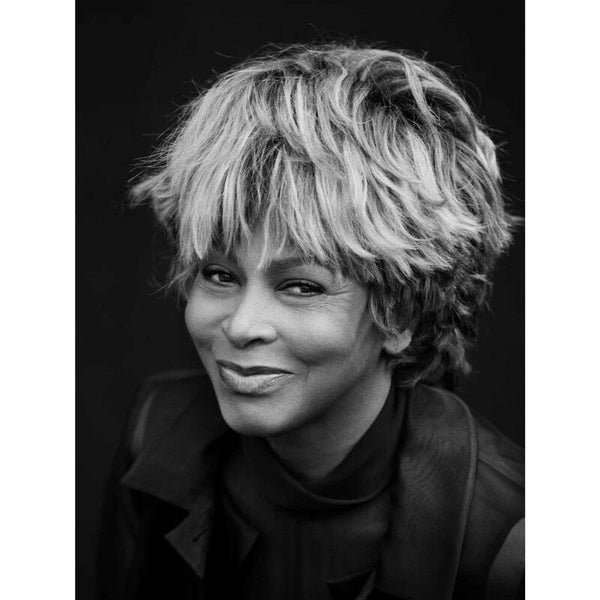 Diamond Painting Tina Turner 4