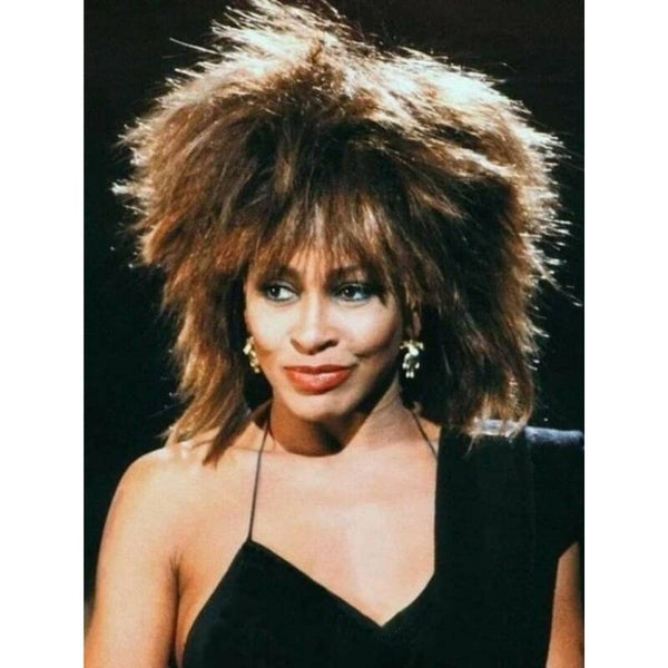 Diamond Painting Tina Turner 5