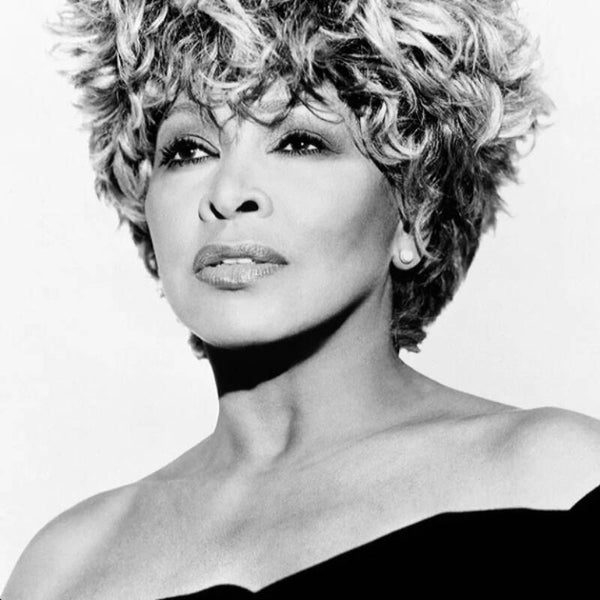 Diamond Painting Tina Turner 7
