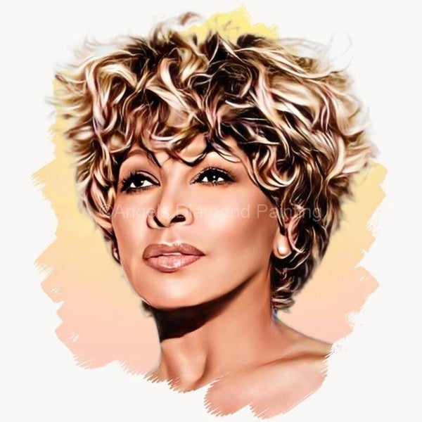 Diamond Painting Portret Tina Turner 2