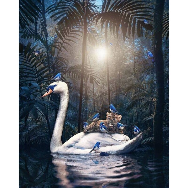 Diamond Painting Zwaan 1
