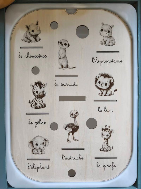 Planche thème Savane