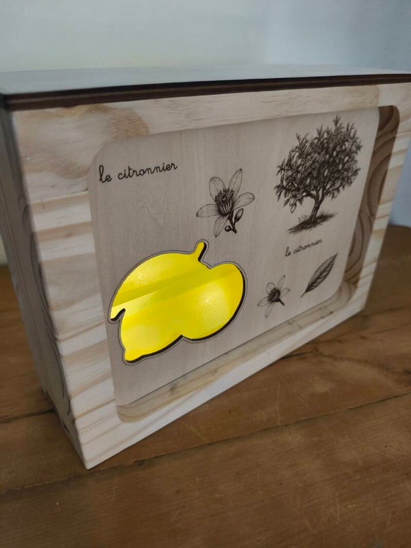 Fenêtre thème Citron