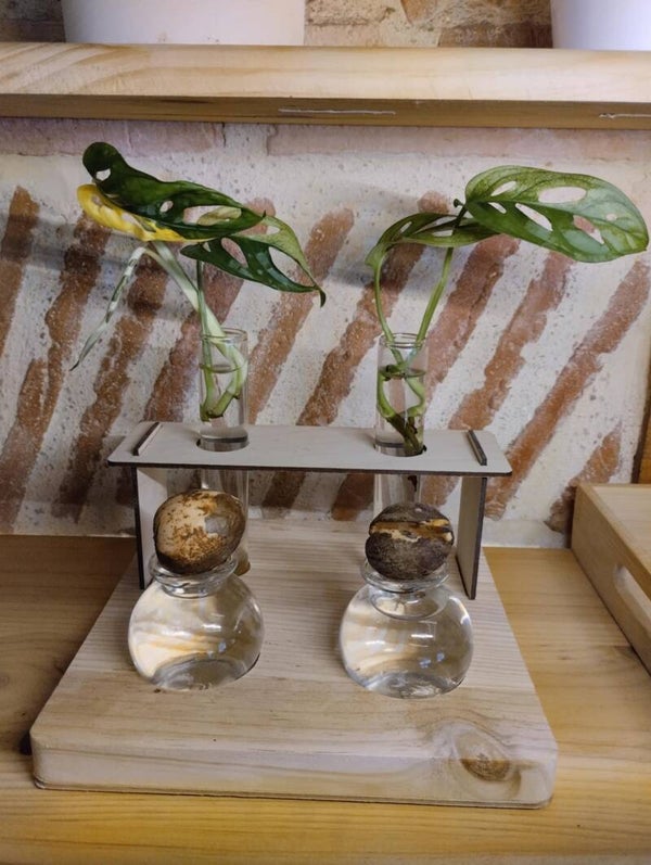 Station végétale double