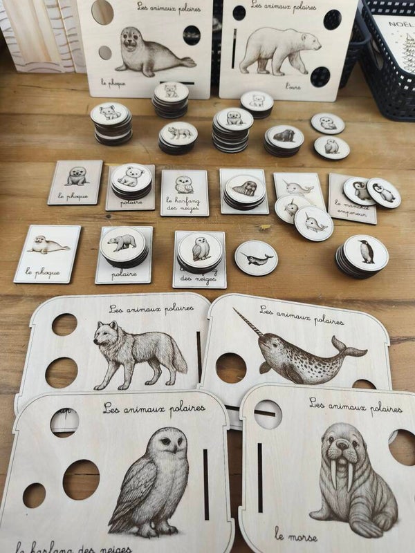 VF Lot thème polaire vrac