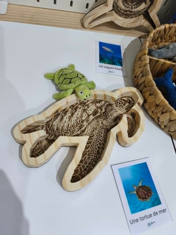Plateau de motricité Tortue de mer