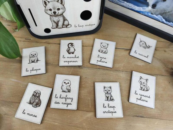 Nomenclatures bois thème Animaux polaires (enfantins)