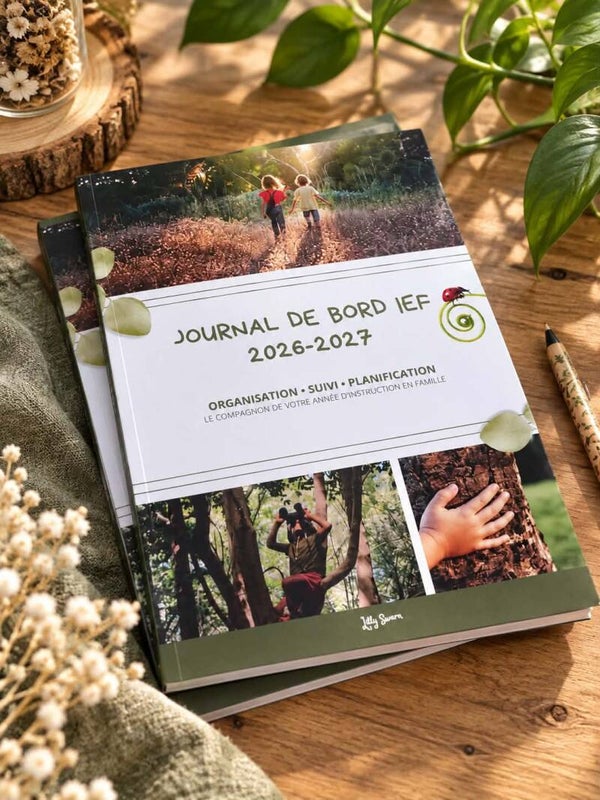Journal de bord IEF 2026 - 2027