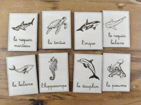 VF Nomenclatures animaux marins réalistes