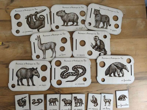 Série thème Animaux d'Amérique du Sud