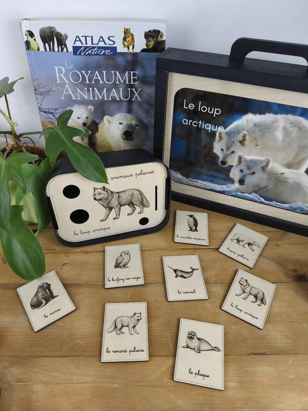 Nomenclatures bois thème Animaux polaires (réalistes)