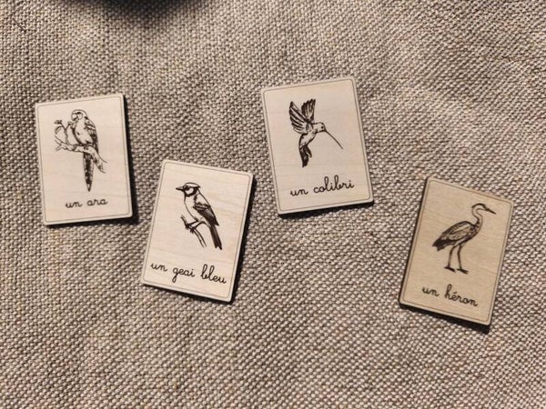 Nomenclatures bois thème Oiseaux d'Amérique