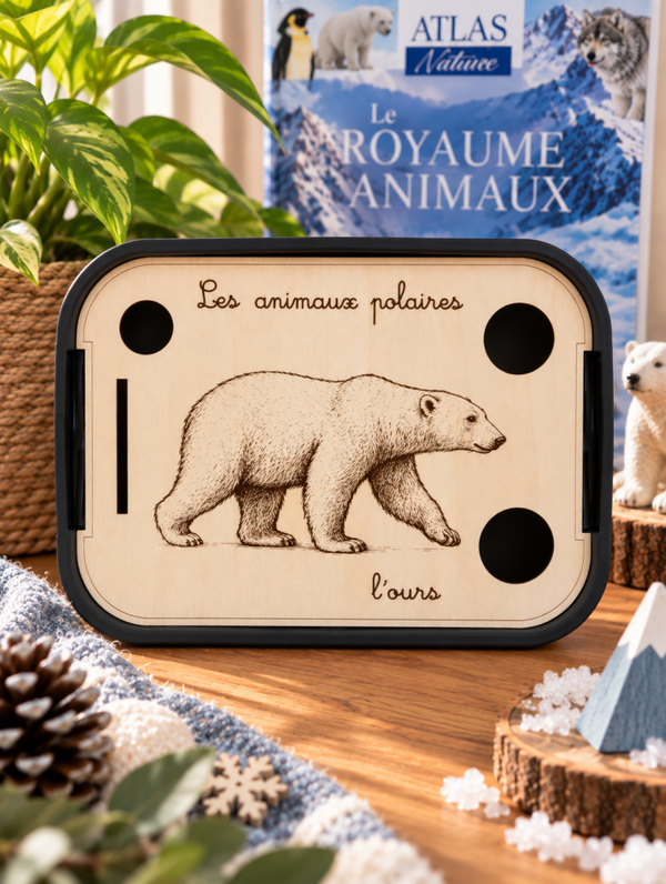 Polaire - animaux réalistes série