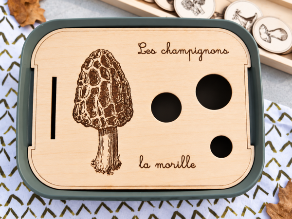 Champignons et Courges - série