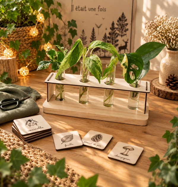 VF 9/9 stations de bouturage