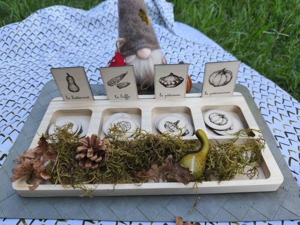 Nomenclatures bois thème Courges et Champignons