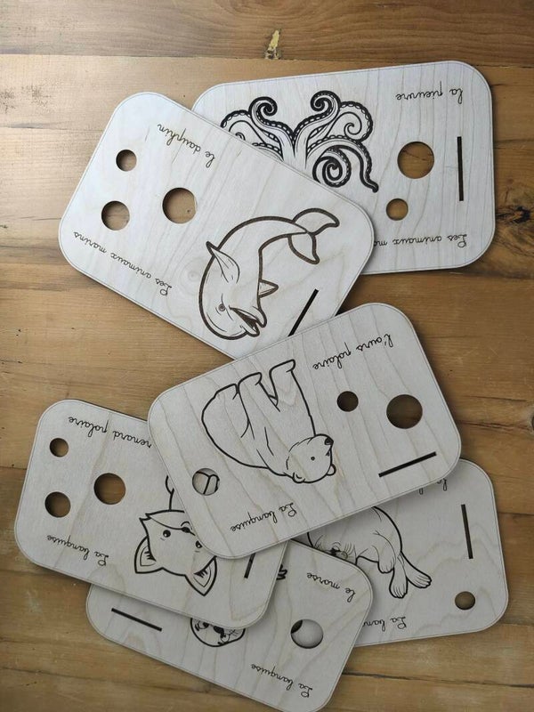 Planches animaux polaires et marin