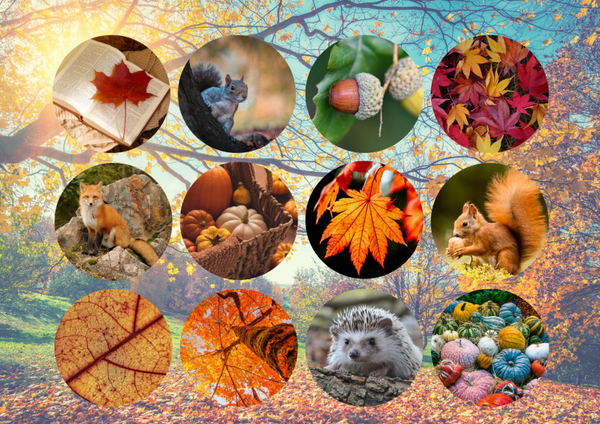 Memory thème Automne