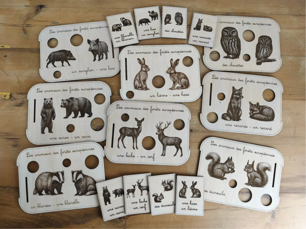 Série Animaux des forêts