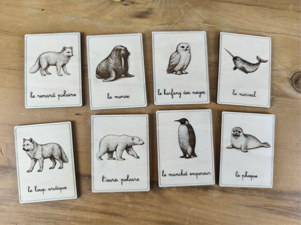 Nomenclatures animaux polaires réalistes