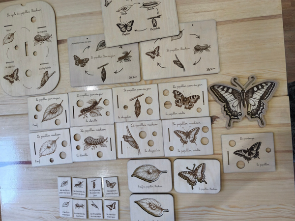 VF grol lot sur le papillon 🦋