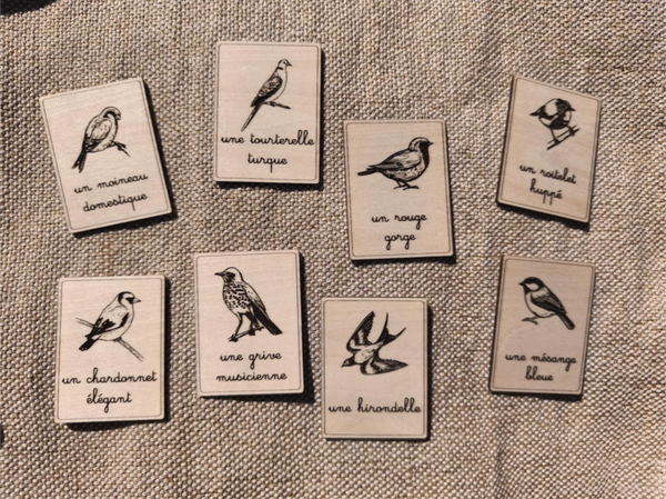 Nomenclatures bois thème Oiseaux de nos jardins
