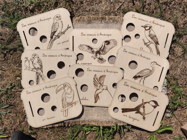 Miniz - Thème Oiseaux d'Amérique