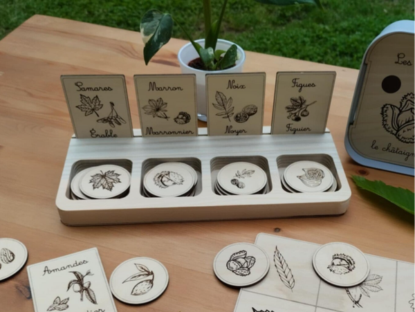 Nomenclature bois thème Arbres