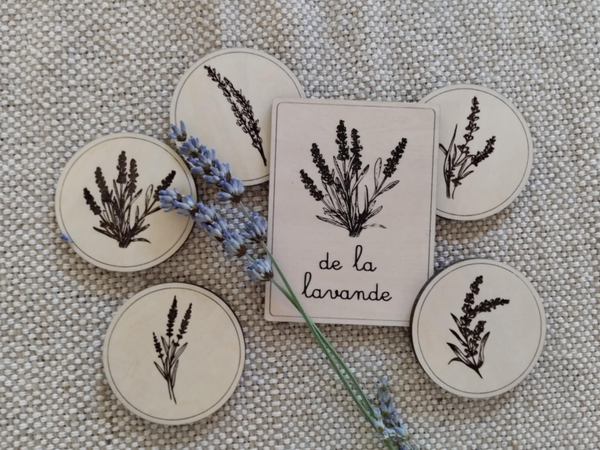 Jetons thème Faune et flore d'été - Miniz