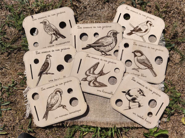 Miniz - Thème Oiseaux de nos jardins