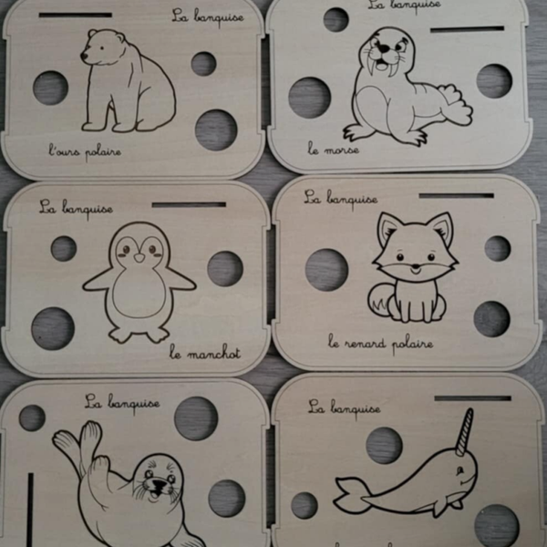 Nomenclatures bois thème Animaux de la banquise