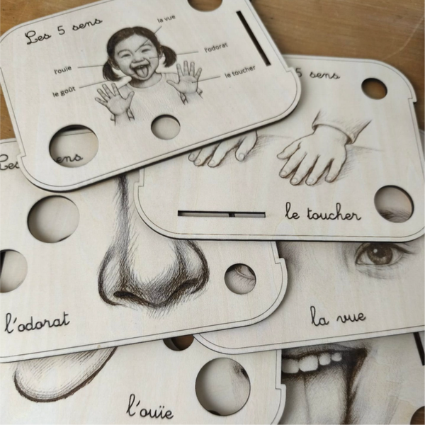Thème Les 5 sens - Livv -l et Miniz