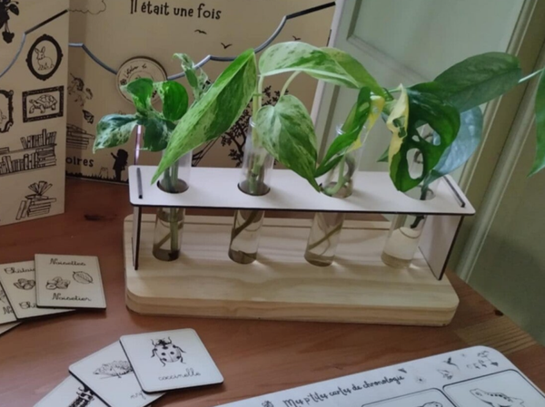 Station de bouturage