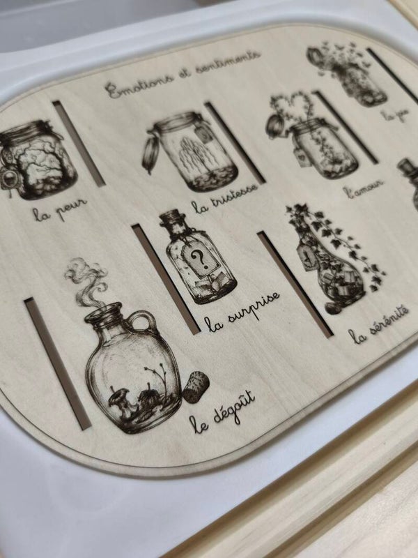 Planche pédagogique émotions et sentiments