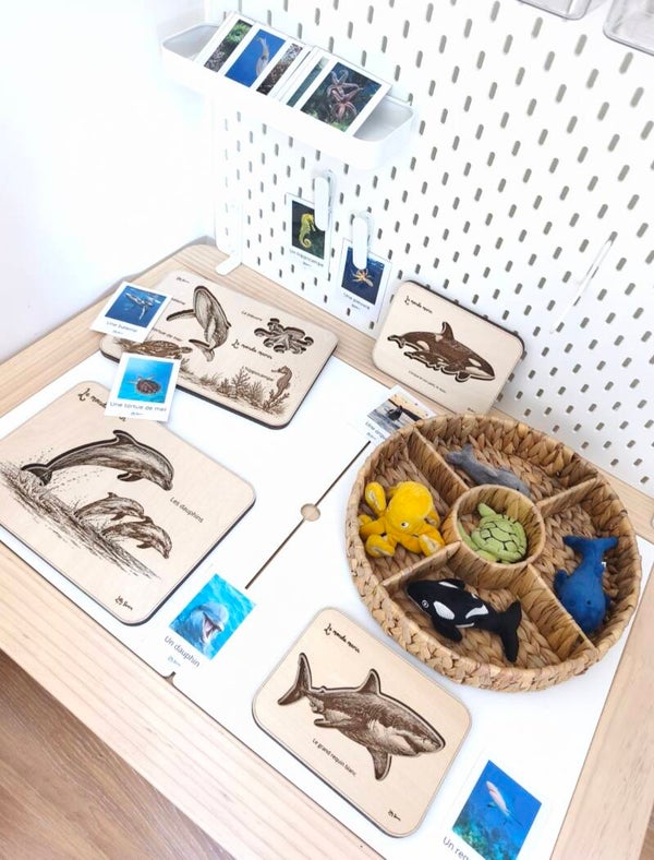Tablette thème fond marin 🐳 🐙 🐢