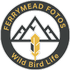 Ferrymead Fotos Wild Bird Life