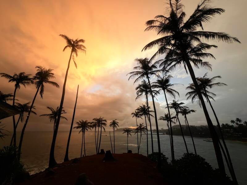 img_4952-standard.jpg