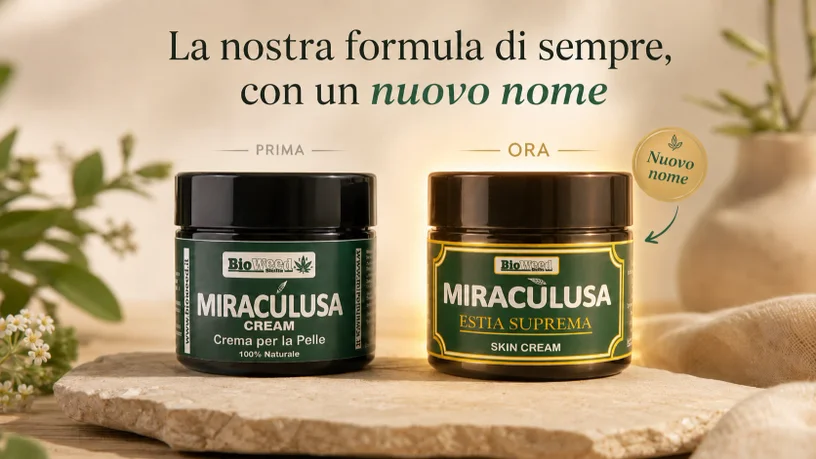 Miracùlusa Estia Suprema