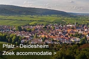 Wijnreis Deidesheim, Pfalz